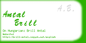 antal brill business card